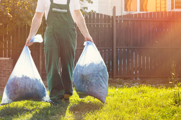 Best Household Junk Removal  in Ashland, IL